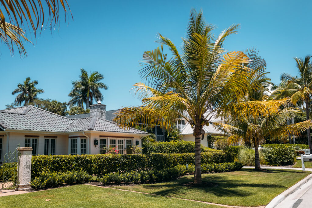 typical american house with green grass and palm trees in a sun rays